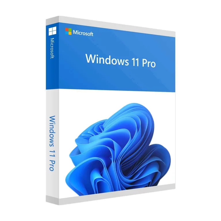 Windows 11 Pro